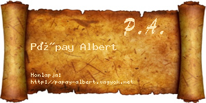 Pápay Albert névjegykártya